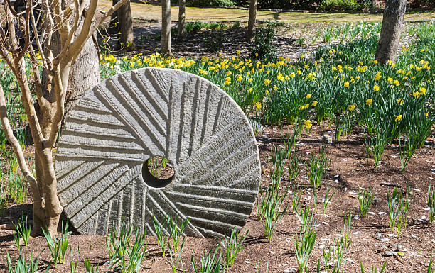 grindstone no jardim - daffodil spring flower new england imagens e fotografias de stock