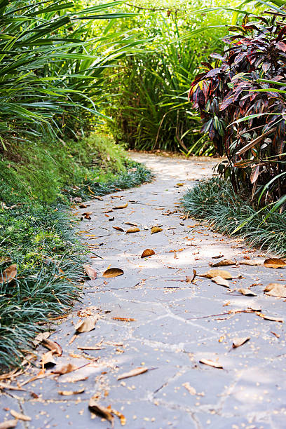 istock Garden with paving stone walkway 535401230