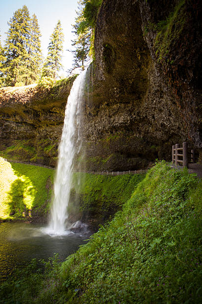 istock Huge waterfall at Silver Falls State Park in Oregon. 535401263