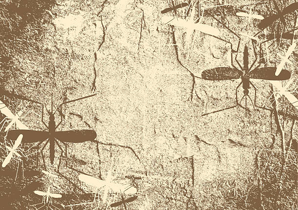mosquitoe silhouette on concrete textured surface stock photo