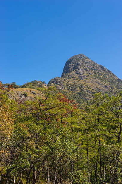 istock Way to Doi Luang Chiang Dao 535402983
