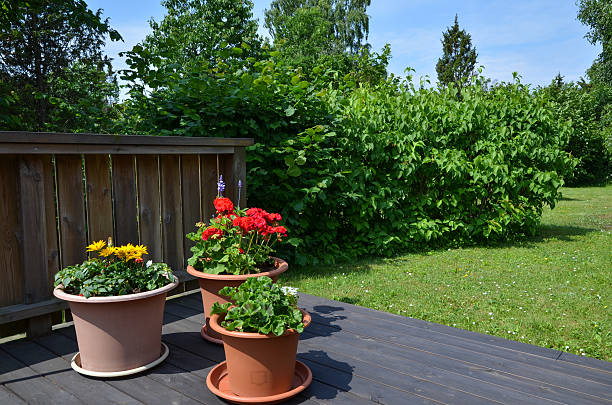 istock Flowerpots in garden 535403387