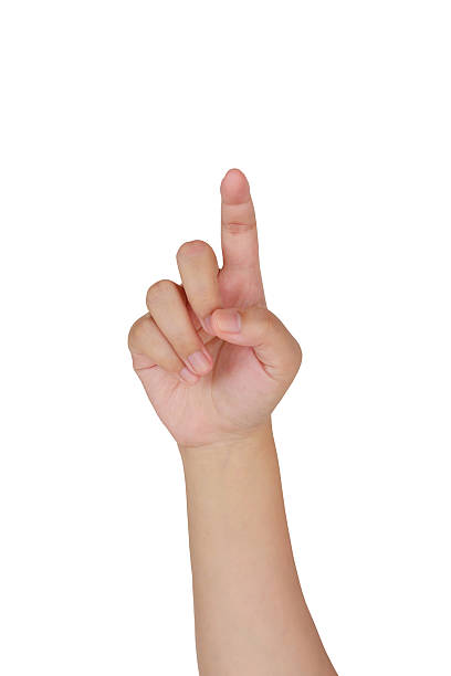 istock female hand touching, pointing to something 535403708