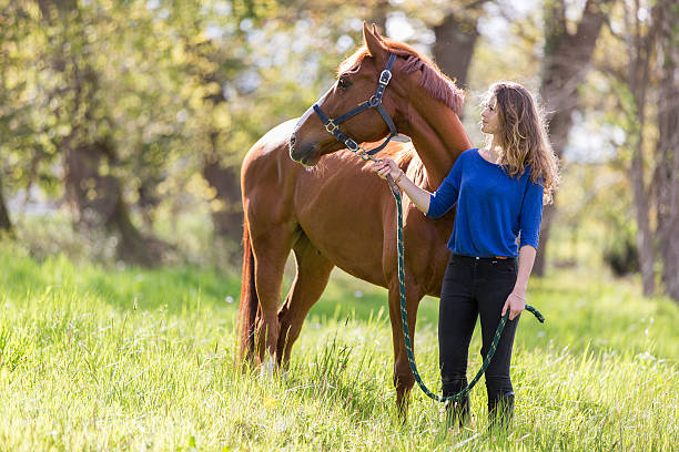 istock Girl and horse in field 535403932