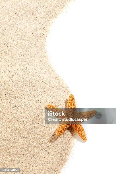 ヒトデビーチの砂 - 2015年のストックフォトや画像を多数ご用意 - 2015年, でこぼこ, とげのある