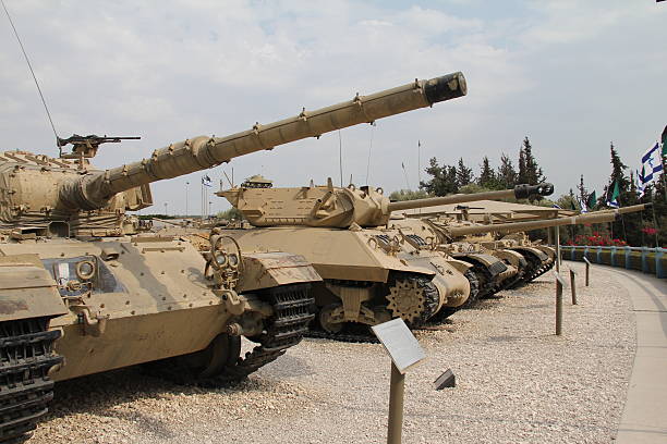 늙음 군용동물에는 탱크 기본 규칙 - latrun 뉴스 사진 이미지