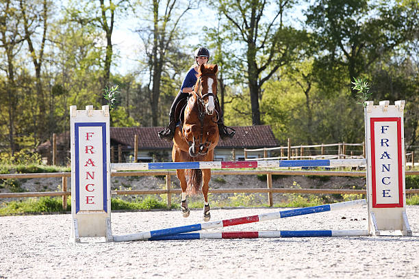istock horsewoman training to jump before competition 535404814