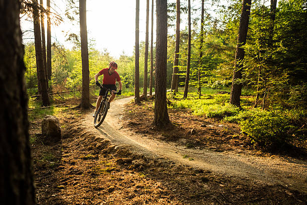 ciclista de montaña montando en bicicleta en el bosque de verano - action off road vehicle motocross cycle fotografías e imágenes de stock