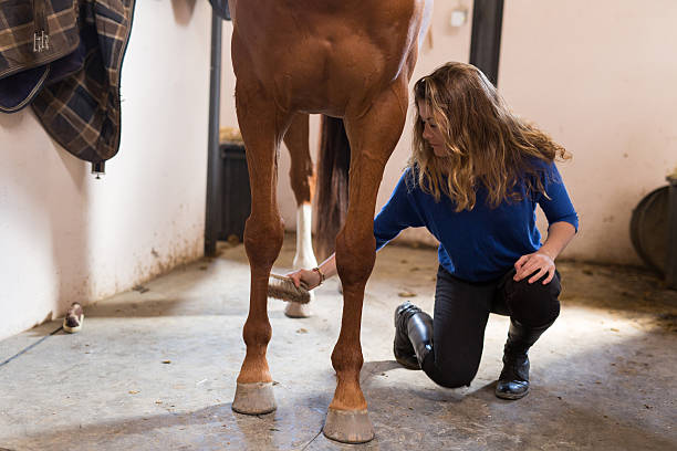 istock girl and horse 535405588