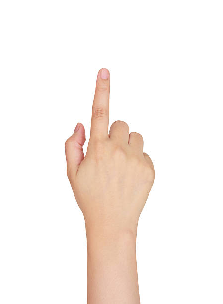 istock female hand touching, pointing to something 535405836