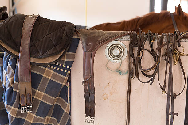 istock girl and horse 535406582