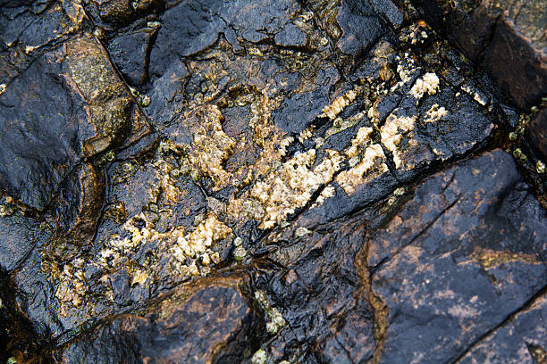 istock Close up of rocks. Good for texture. 535407788
