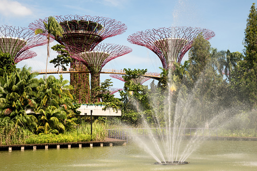 Singapore,Singapore - March 12, 2016: Distant view on the fountain and steel structures called Super Trees of the Chinese gardens in the Gardens by the Bay.Editorial. horizontal view