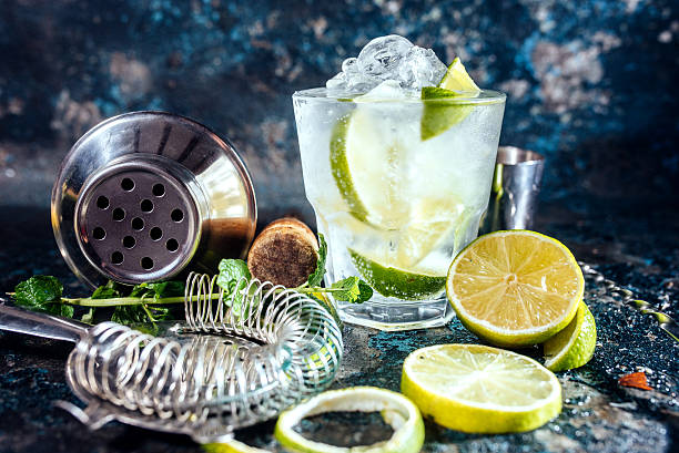 Gin tonic alcoholic cocktail with ice and mint Gin tonic alcoholic cocktail with ice and mint. Cocktail drinks served at restaurant, pub or bar gin stock pictures, royalty-free photos & images