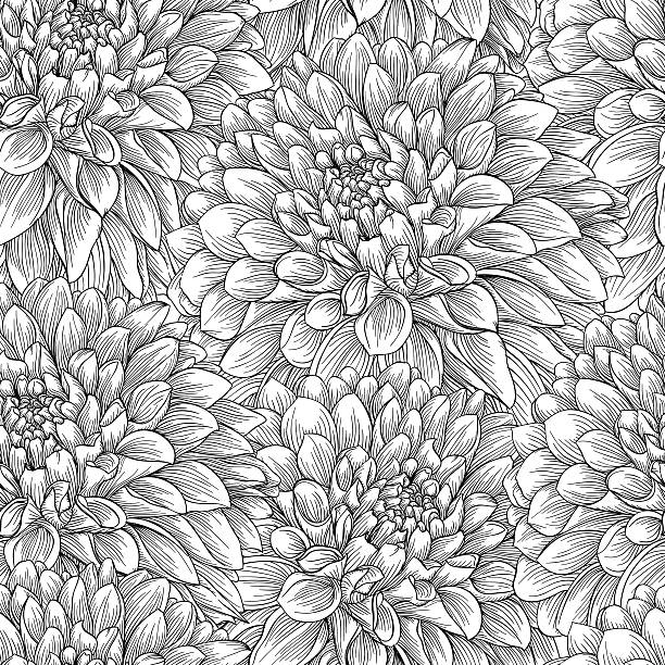 ilustraciones, imágenes clip art, dibujos animados e iconos de stock de blanco y negro patrón continuo en el dahlia. - chrysanthemum single flower flower textile