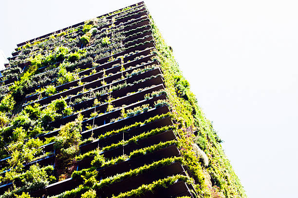 istock Low angle view of Skyscraper vertical garden, BioWall, copy space 535412373
