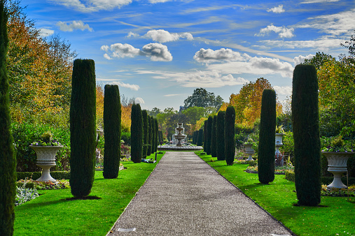 Regents Park in London with cypress trees and lawns