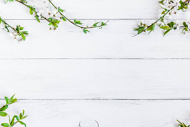 apple flowers on white wooden background