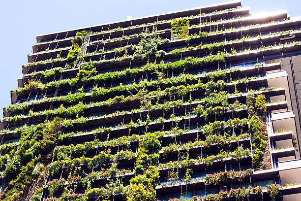 istock Low angle view of vertical garden - BioWall on skyscraper 535412921