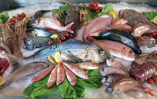 great white sea bream many saltwater fish great white sea bream many saltwater fish fresh in the fridge of the seafood restaurant in southern Italy fish market photos stock pictures, royalty-free photos & images