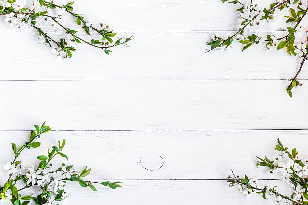 istock apple flowers on white wooden background 535413148