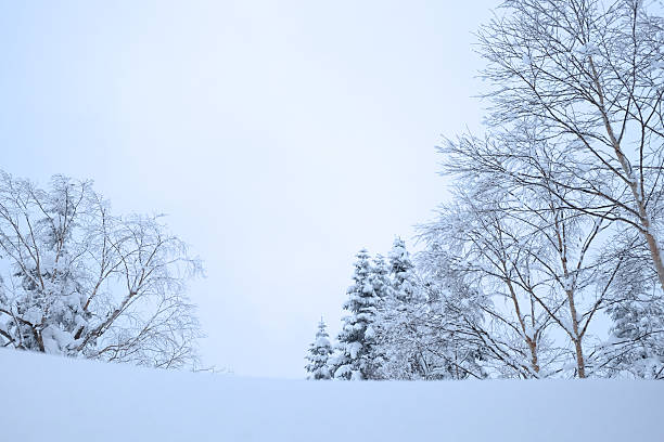 istock Beautiful winter landscape 535413777