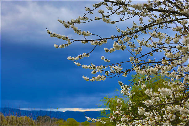 automne et de la nature - power ballad photos et images de collection