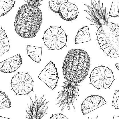 Vector hand drawn pineapple seamless pattern. Tropical summer fruit engraved style illustration. Detailed food drawing. Great for summer decor