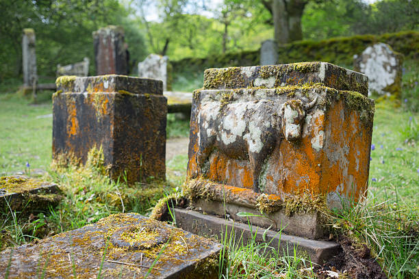 istock Grave of a farmer 535415370