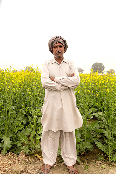 istock Farmer Standin in the Mustard Field 535415387