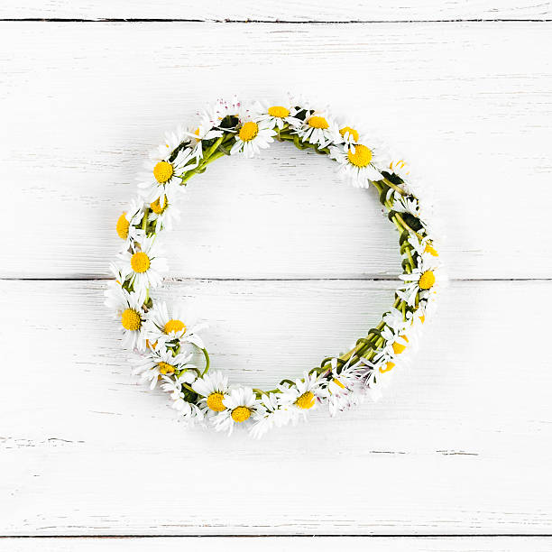 wreath made of daisy flowers on white wooden background wreath made of daisy flowers on white wooden background daisy flower spring marguerite stock pictures, royalty-free photos & images