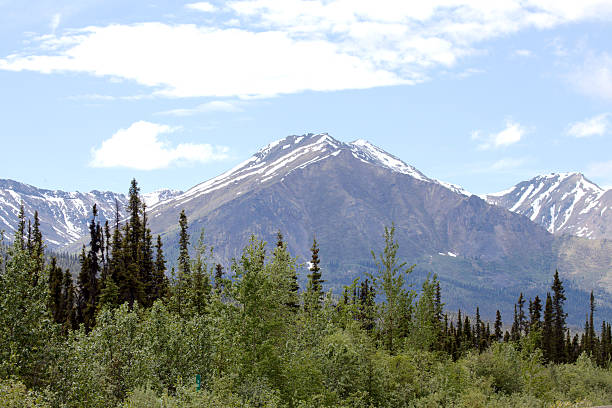 istock Antimony Mountain, Yukon Territory, Canada. 535416399