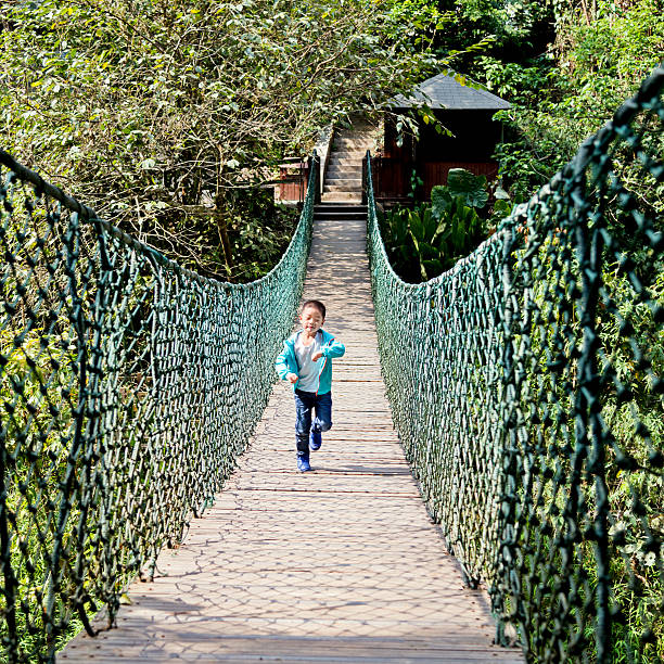 Wooden footbridge in nature tropical forest for trail route. Walking swing bridge, a suspension bridge across jungle, path way at the Khao Yai National Park, Thailand.