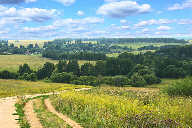 istock hilly summer landscape with country road 535416919