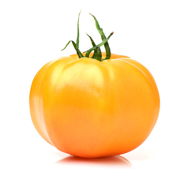 istock yellow tomato chili with drops 535417706
