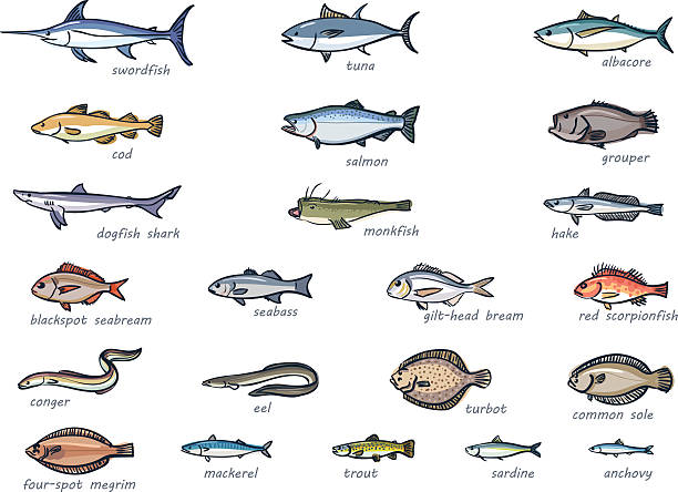 ilustraciones, imágenes clip art, dibujos animados e iconos de stock de conjunto de iconos de elementos pescado, dibujado a mano estilo - merluza