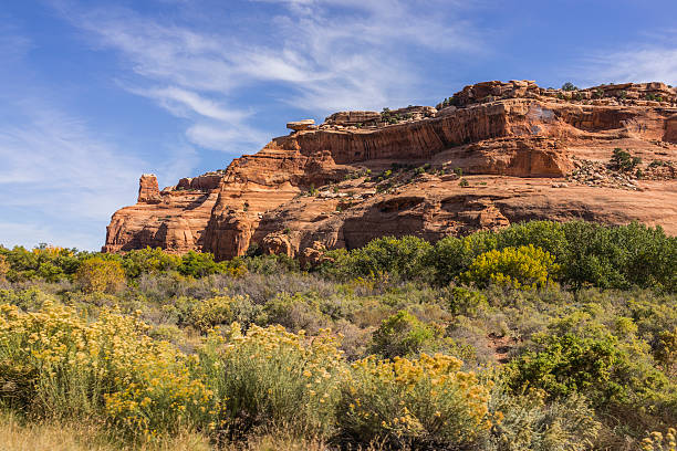 istock Utah. Sagebrush and sandstone cliffs along the US Highway 191 535419553