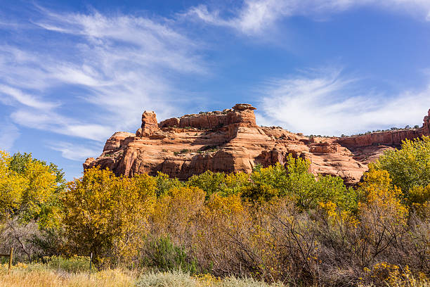 istock Utah. Vegetation and sandstone cliffs along the US Highway 191 535419559