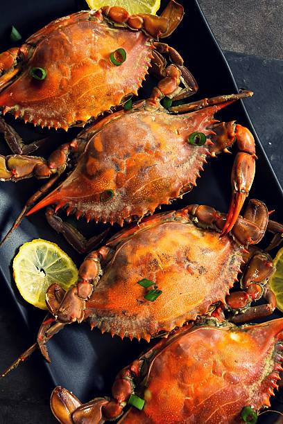 istock Steamed Blue crabs with lemon garnish 535419718