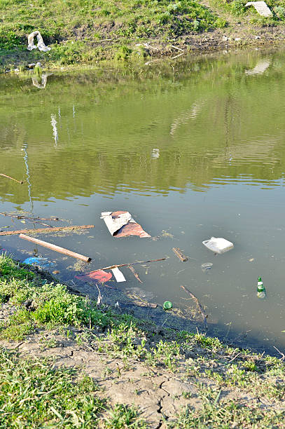istock Rubbish, waste floating in polluted pond 535420112