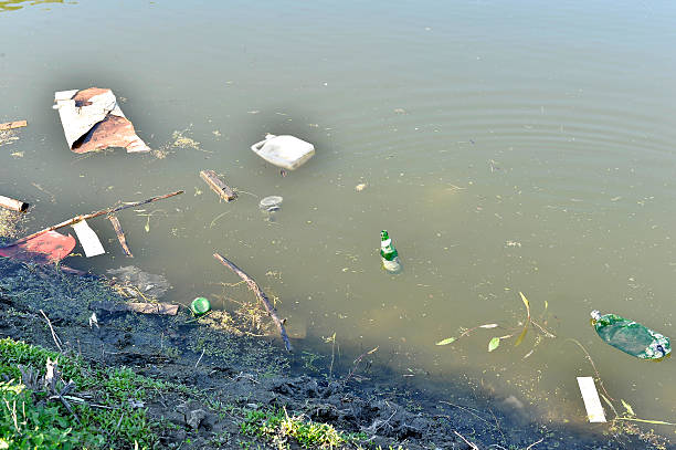 istock Rubbish, waste floating in polluted pond 535420162