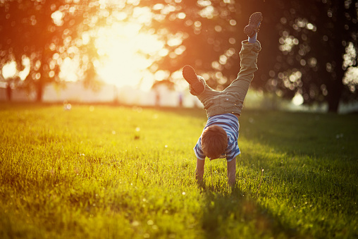 Portrait of a little boy having fun on grass in park or garden. The boy is standing on hands. Sunny spring or summer evening.