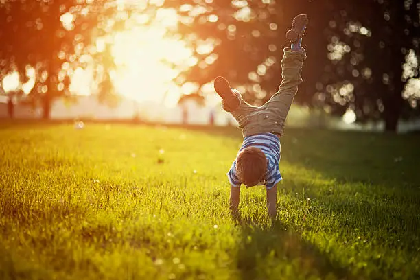 Portrait of a little boy having fun on grass in park or garden. The boy is standing on hands. Sunny spring or summer evening.
