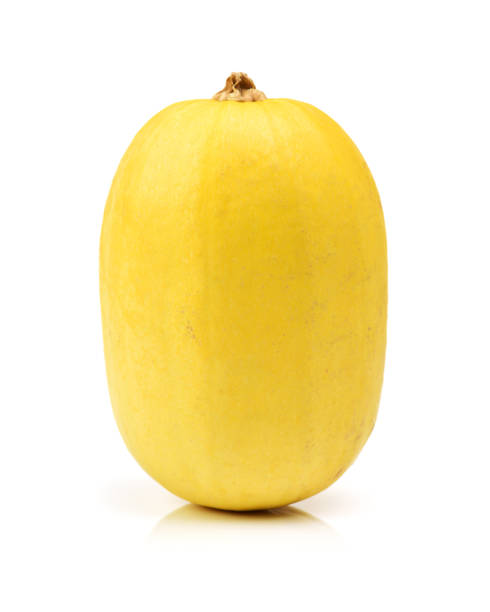 istock organic spaghetti squash Cucurbita pepo vegetable 535421364