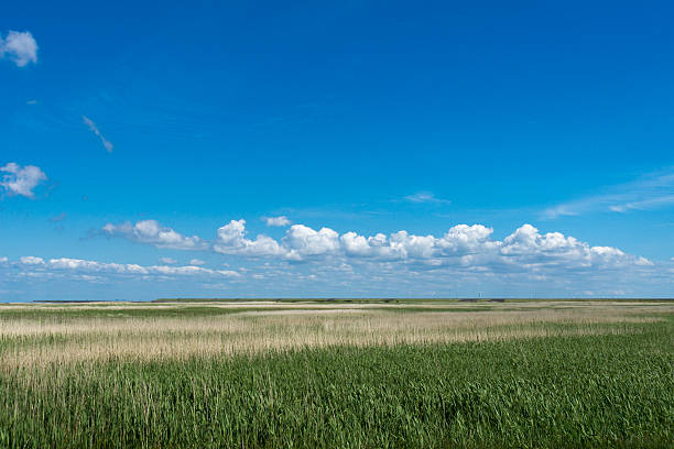 istock View on Hindenburg Dam at Sylt 535423382