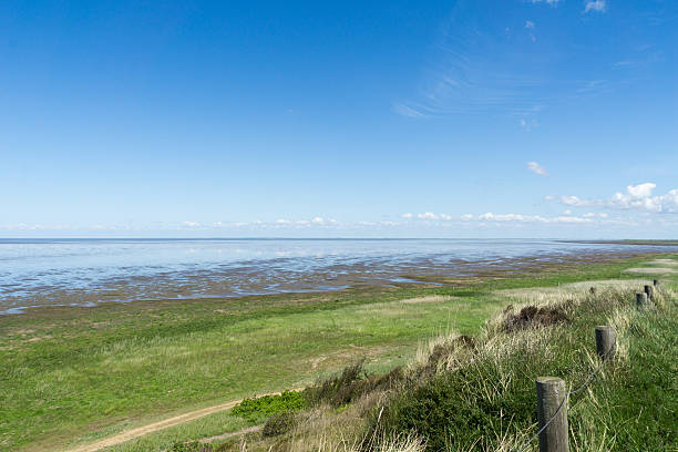 istock View on Wadden Sea at Sylt 535423474