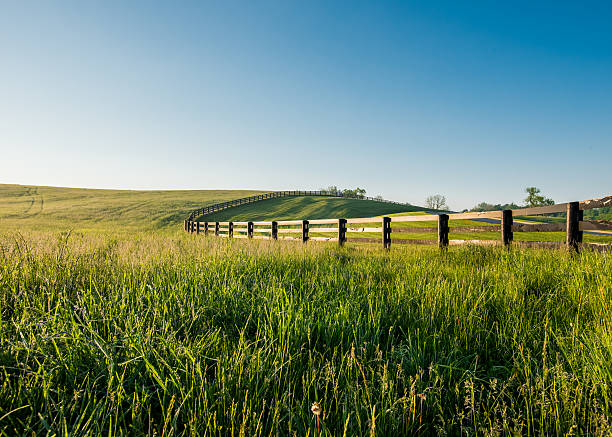 Tall Dewy Grass in Rolling Hills of Kentucky along a black fence
