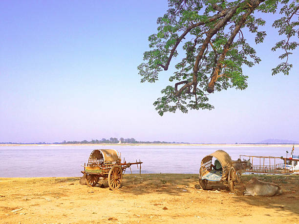 wóz ciągnięty przez woły nad rzeka irawadi - ox wóz zdjęcia i obrazy z banku zdjęć