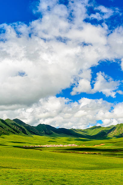 skyline,hill and meadow in tibet