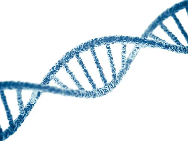 DNA on white background. 3D render.